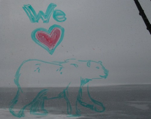 Polar bear drawings