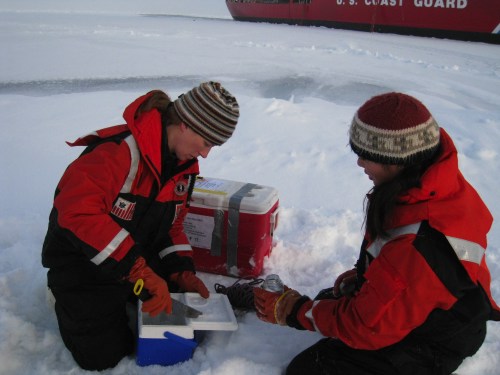 Ice cores