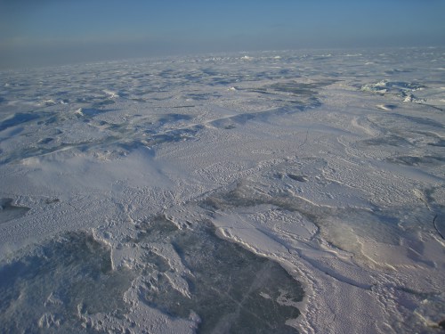 Sea Ice