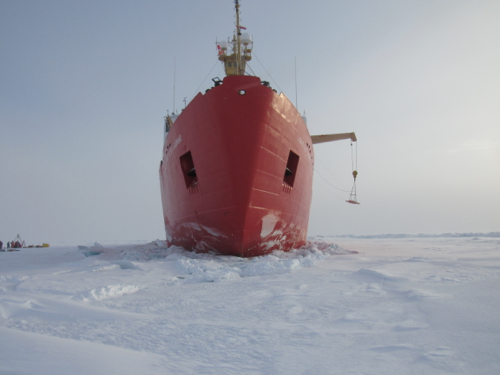 Bow of the boat