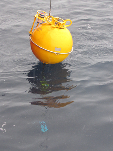 Buoy Lifted 