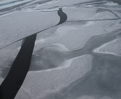 A crack in the ice