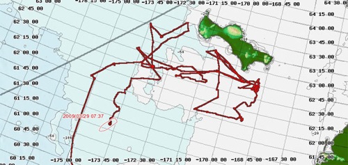 Healy Ship Track