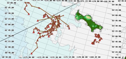 Tracking Walrus