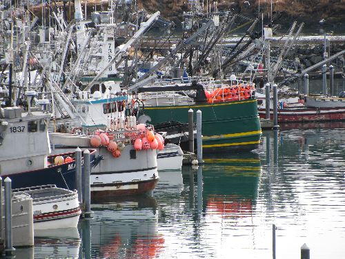 Plethora of buoys