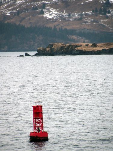 Buoy marking the channel