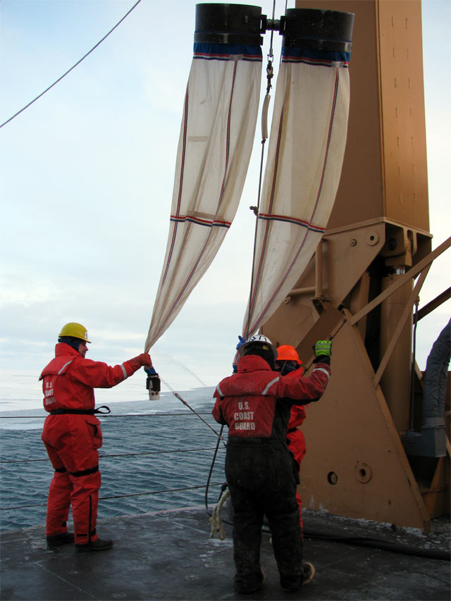 Bongo Net Kites