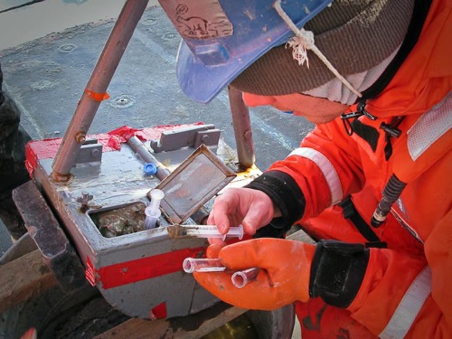 Taking Samples of Surface Mud