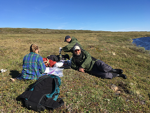 arctic lounging