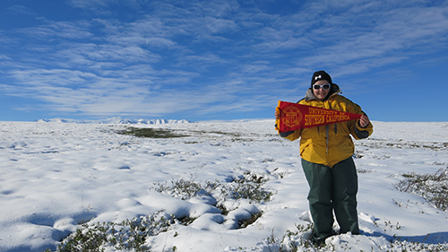 Arctic tundra USC flag