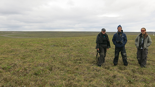 Bird research team