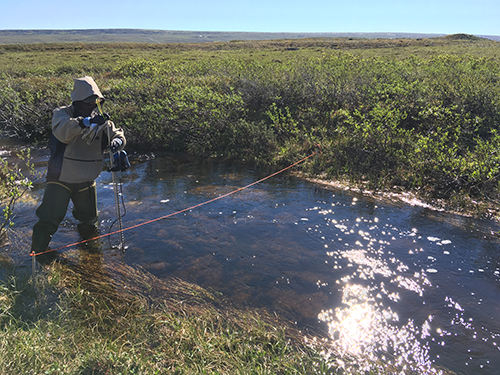 Cook in the stream