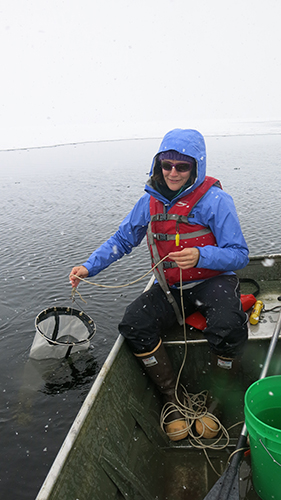 Collecting zooplankton