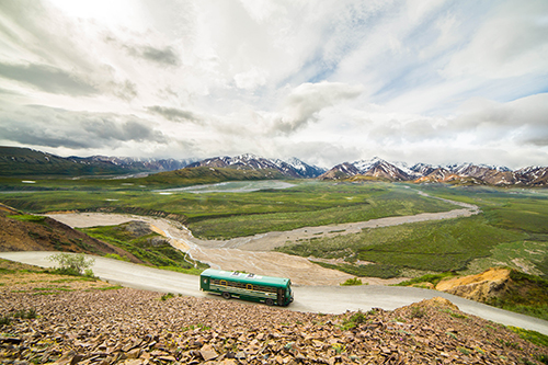 Denali Scenic Overview