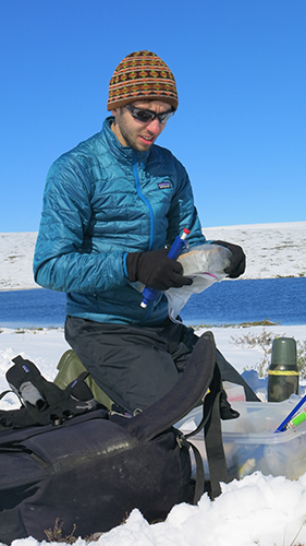 Graham doing his bacteria work