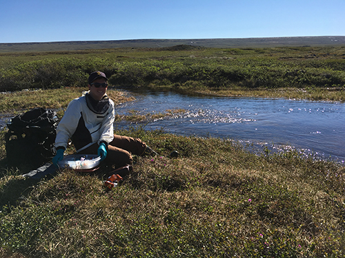 Jason in the field