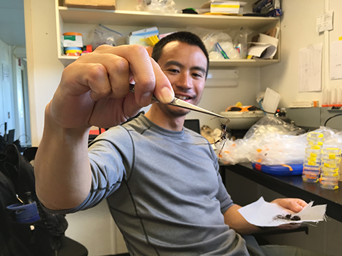 Jeff with crane fly