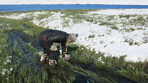 Johanne taking samples