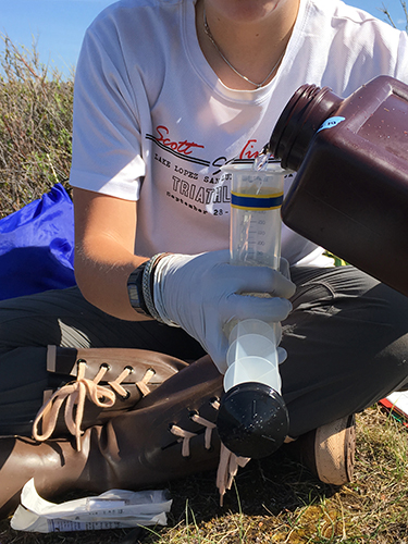 Pouring water sample 