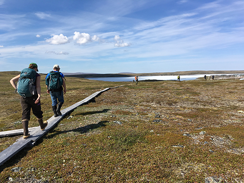 Researchers in the tundra