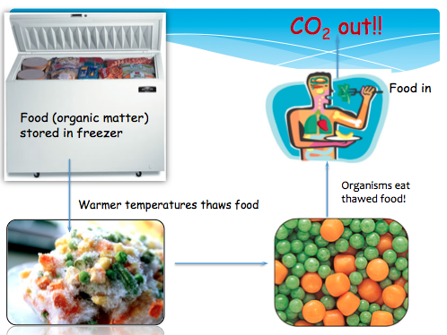 Fridge analogy microbes