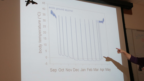 Squirrel Data