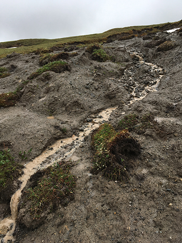 Thermokarst slump