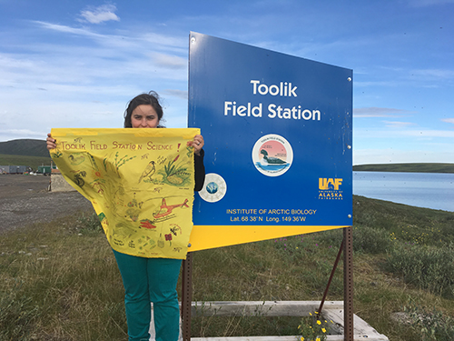 Toolik Sign with art