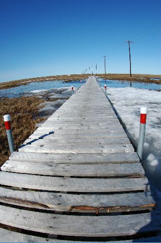 The infamous Boardwalk