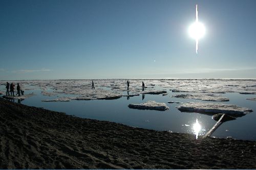 Ice Walking 