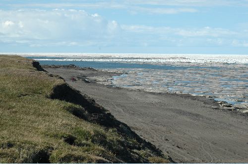 Walking Along the Beach