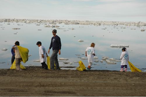 Cleaning the Beach of Arctic Ocean