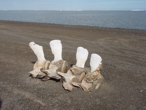 Art on the Beach