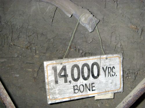 Old sign, old bone!!