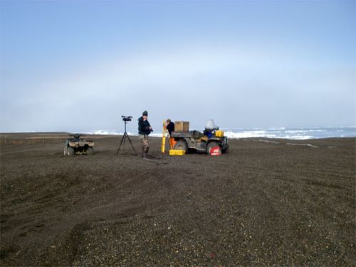 Anne, Filmmaker Bill, and a Fogbow