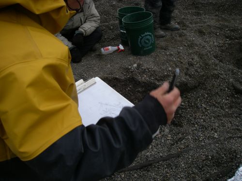 Claire is Making Her Latest Map of the Site 