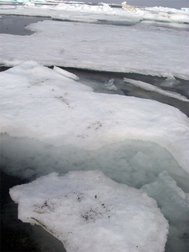 Ice FootPrints - Humans Being Silly