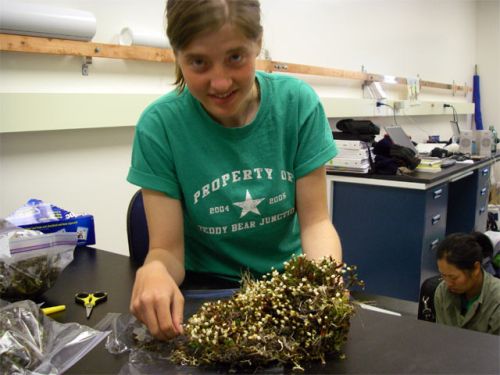 Jenny Showing Off a Fine Section of Tundra Plants