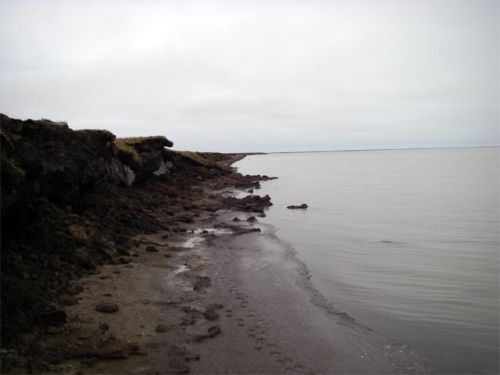 Land Meets Water. In Winter, Land Meets Ice 