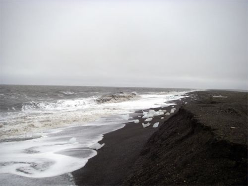 The Pounding Surf - Another Beautiful Wonder