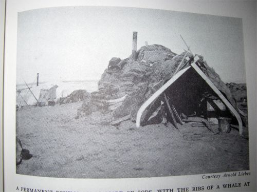 A Sodhouse With Whale Bone Supports