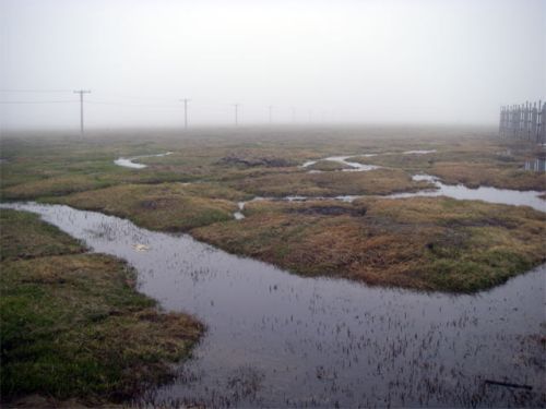 Tundra View - Rather Flat and Wet