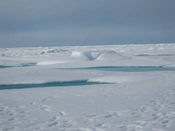 A heart in the Ice