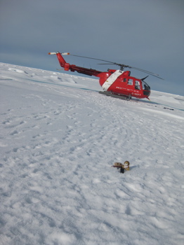 Helo on the Ice