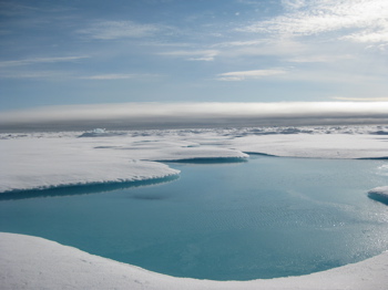 Sun on the Ice