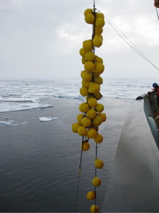 A Bunch of Glass Balls