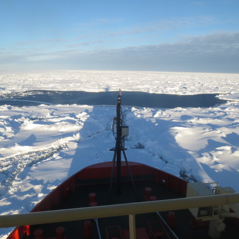 The NB Palmer working its way through the sea ice on a sunny day.