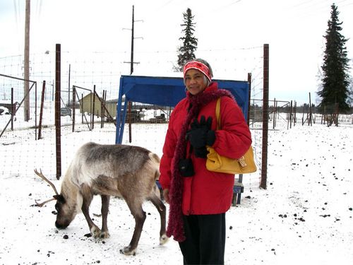 Jackie Hams on Reindeer Farm