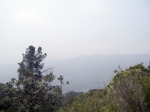 Southern California Marine Layer