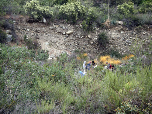 Physical Geology Laboratory Students in the Brush